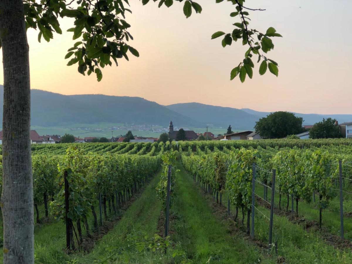 Ferienwohnung Suedpfalz Mit Fernblick Bochingen Exteriör bild