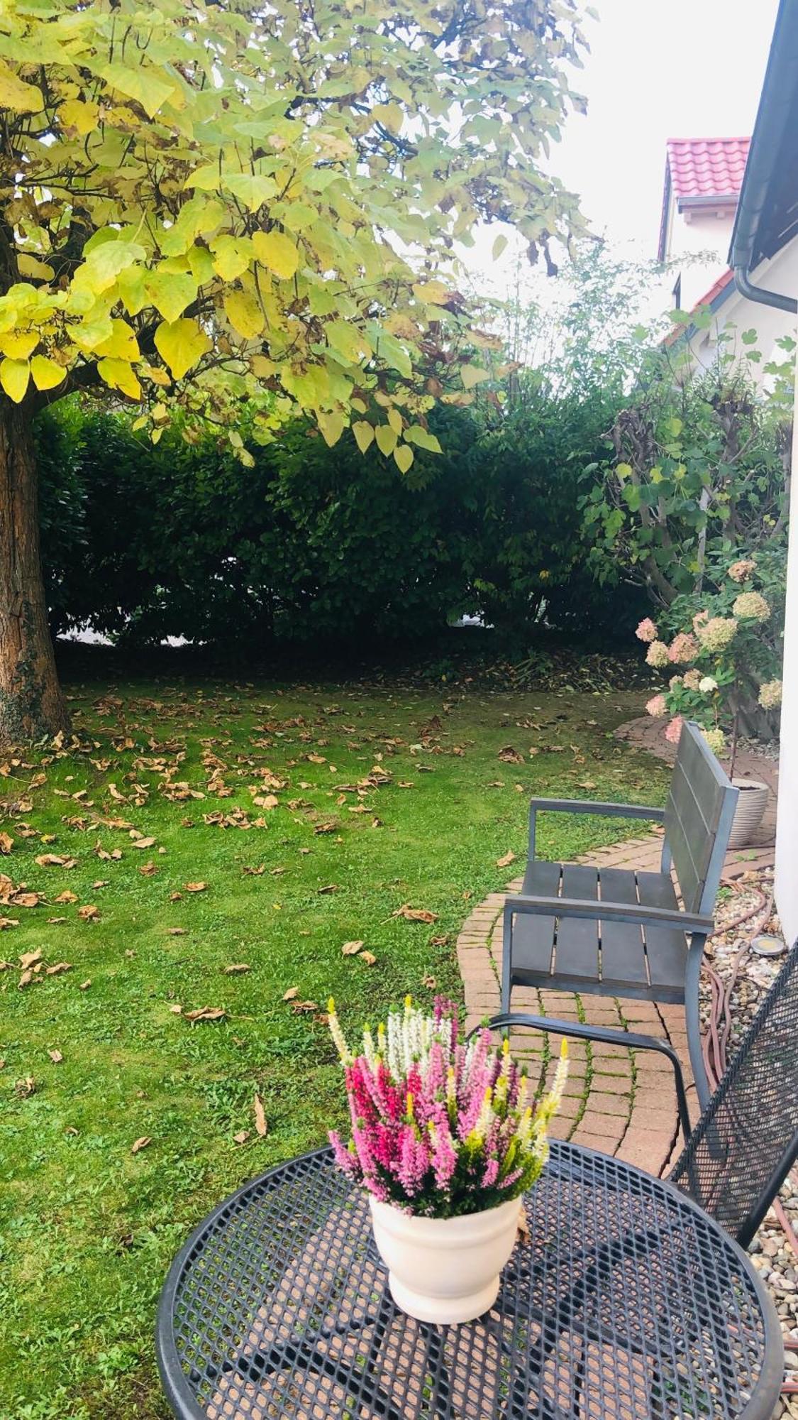 Ferienwohnung Suedpfalz Mit Fernblick Bochingen Exteriör bild